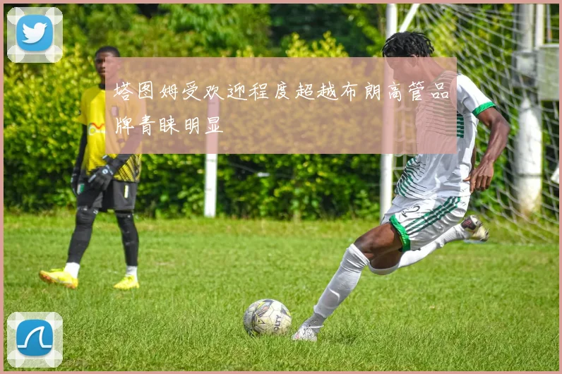 塔图姆受欢迎程度超越布朗高管品牌青睐明显